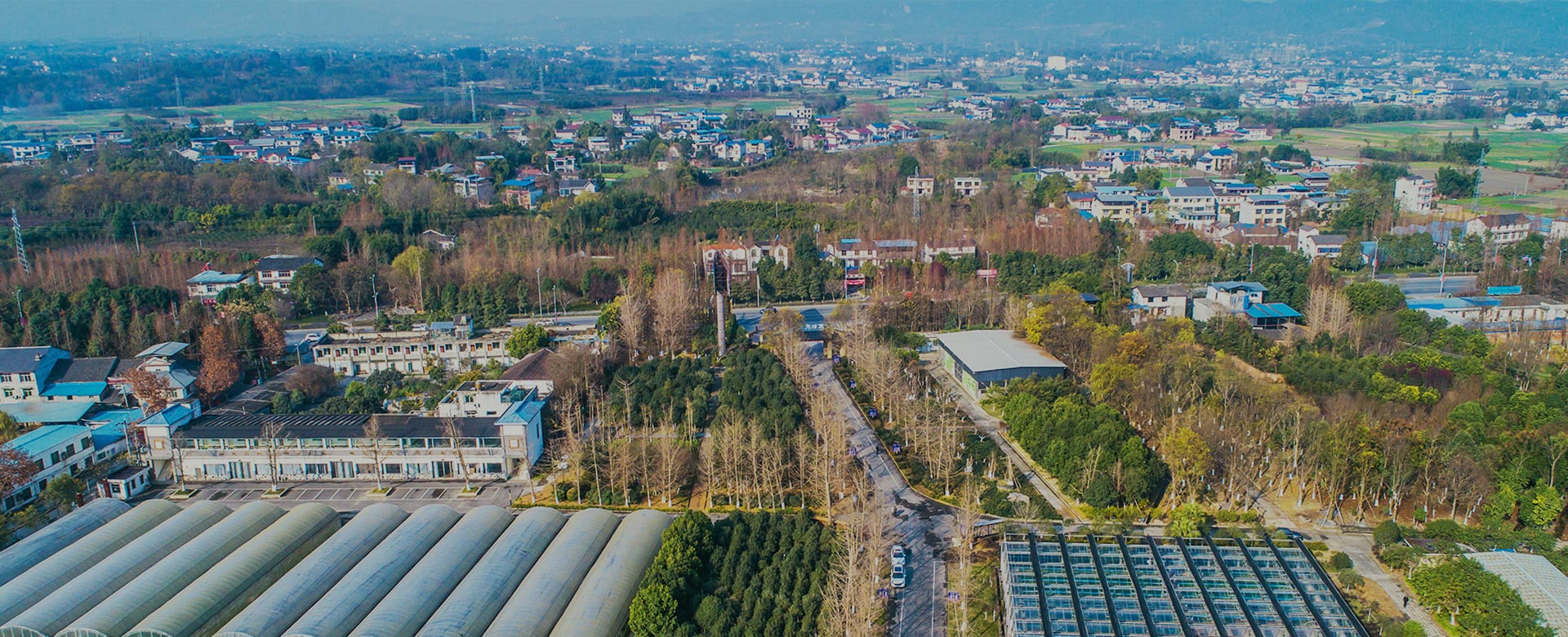 蔬菜品種育苗、示范推廣、基地種植、農(nóng)產(chǎn)品生產(chǎn)、加工 、銷(xiāo)售